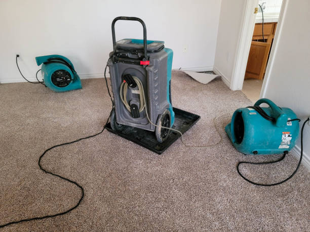 Best Water damage restoration company  in Altoona, IA