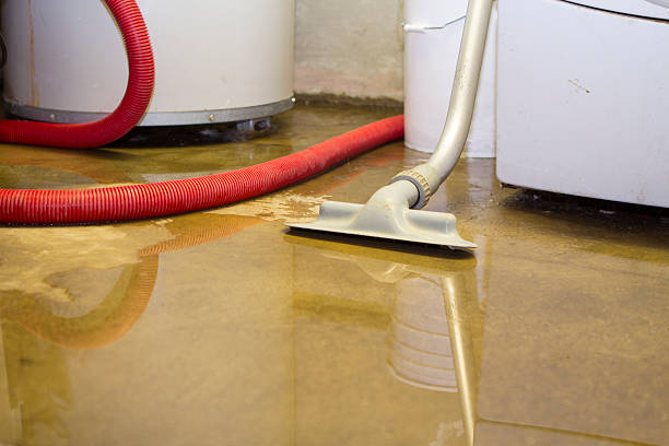 Best Flood restoration services  in Altoona, IA