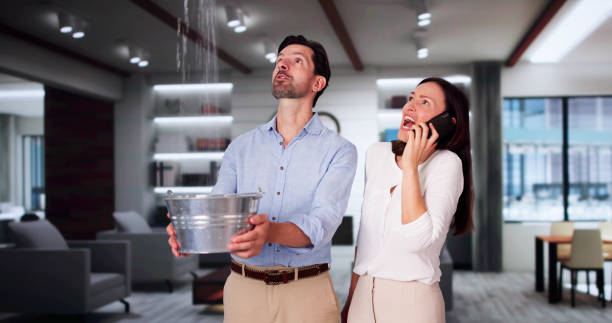 Best 24-hour water damage restoration  in Altoona, IA