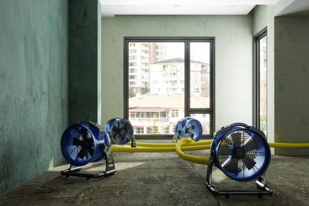 Best Fire Damage Restoration  in Altoona, IA