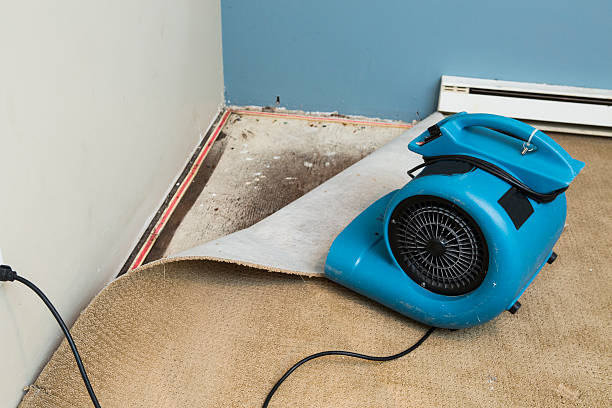 Best Fire Damage Restoration  in Altoona, IA